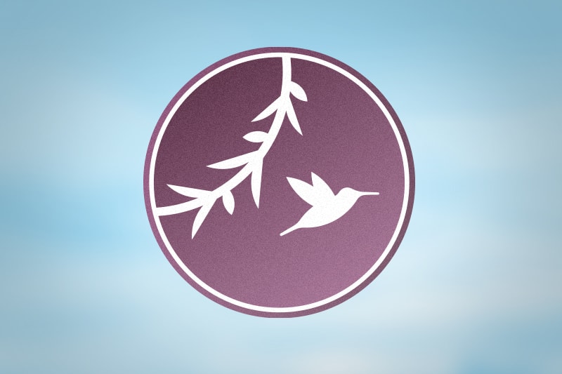 Brand logo design for Willow Tree Massage. Link opens larger image in modal window.